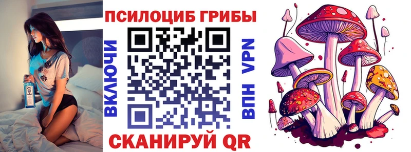 Псилоцибиновые грибы Psilocybe  Почеп 